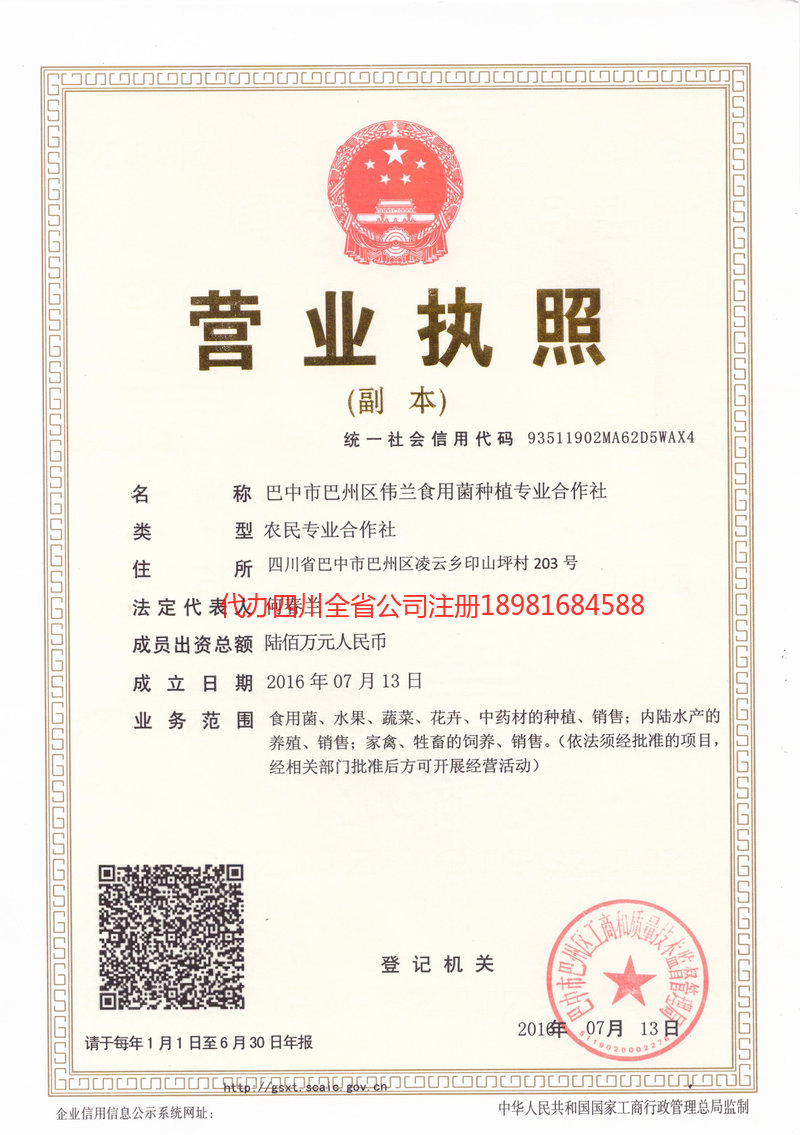 巢湖巢湖伟兰食用菌种植专业合作社